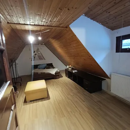 Apartment Mounsard *
